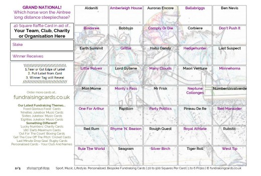 A5 `Epsom Derby` Horse Racing Fundraising Scratch Cards / Raffle Ticket / Draw Cards