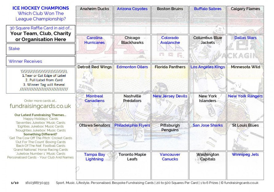 A5 `League Champions` Ice Hockey Fundraising Scratch Cards / Raffle Ticket / Draw Cards