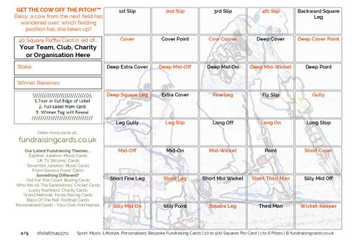 A5 `Get The Cow Off The Pitch` Cricket Fundraising Scratch Cards / Raffle Ticket / Draw Cards