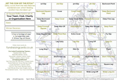A5 `Get The Cow Off The Pitch` Cricket Fundraising Scratch Cards / Raffle Ticket / Draw Cards