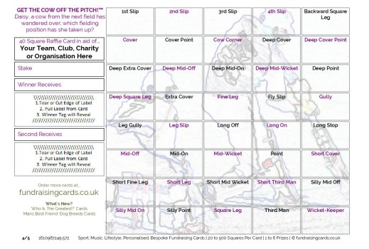 A5 `Get The Cow Off The Pitch` Cricket Fundraising Scratch Cards / Raffle Ticket / Draw Cards
