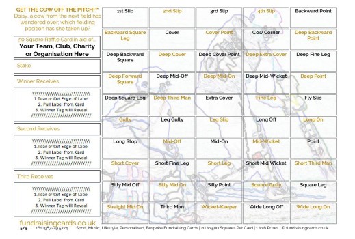 A5 `Get The Cow Off The Pitch` Cricket Fundraising Scratch Cards / Raffle Ticket / Draw Cards