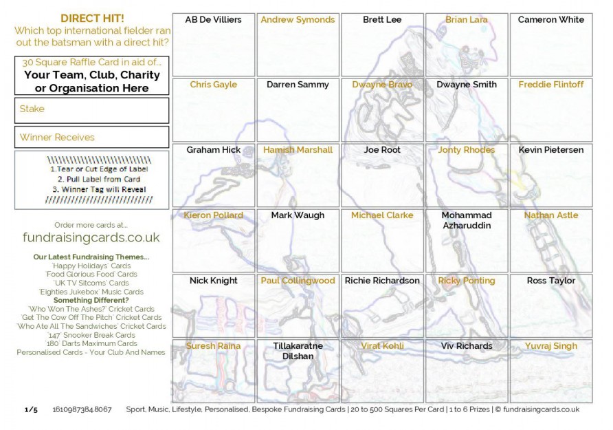 A5 `Direct Hit Run Out` Cricket Fundraising Scratch Cards / Raffle Ticket / Draw Cards