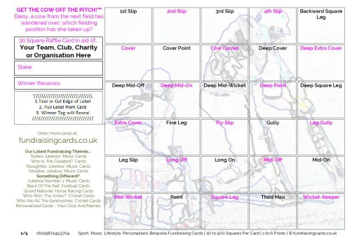 A5 `Assorted Theme` Cricket Fundraising Scratch Cards / Raffle Ticket / Draw Cards