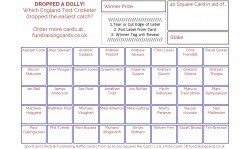 24 x Cricket Fundraising Cards / Raffle Ticket / Scratchcards Value Pack