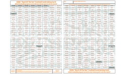 1 x A2 `Back Of The Net` Football Fundraising Raffle Ticket / Draw Cards / Scratchcards